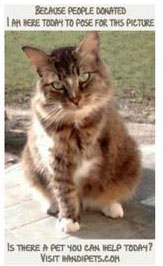 Help Handipets and see how good it feels to know you did!