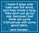 chihuahuas rule!