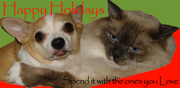 Happy Holiday from our puppy dogs and kitties to yours