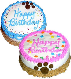 Birthday Cake For Dogs