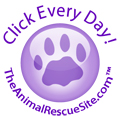 Click Every Day