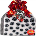 Birthday Dog Gifts for Under $50.00