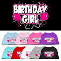 Dog birthday clothes